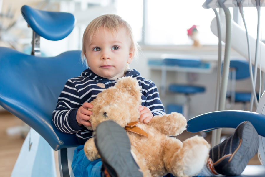 Little boy & his teddy bear in the dental chair for his first dental visit