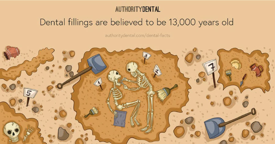 Cartoon stating that dental fillings are believed to be 13,000 years old.